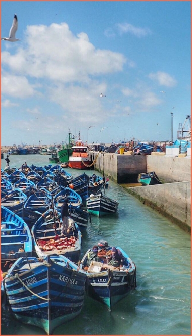 Day trip from Marrakech to Essaouira Day trip from Marrakech to Essaouira