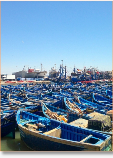 Marrakech day trips