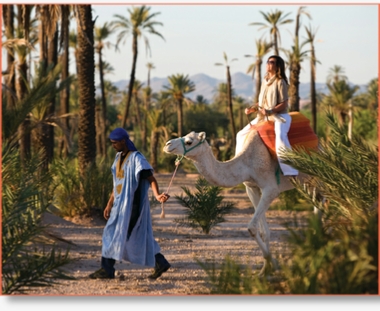 Day trip from Marrakech