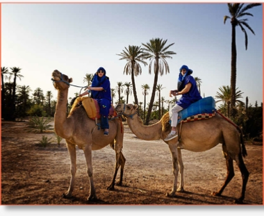 Day trip from Marrakech