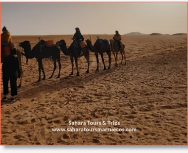 Merzouga excursions