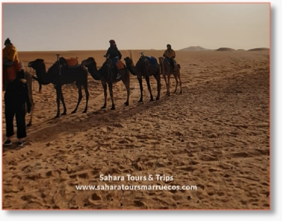 Merzouga excursions