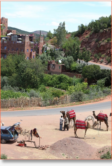 Day trip from Marrakech
