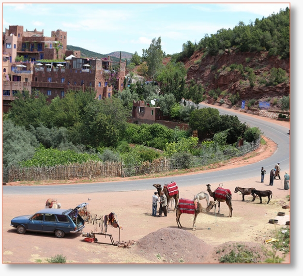 Day trip from Marrakech