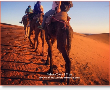 Merzouga excursions