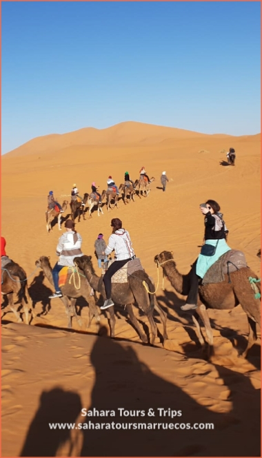 Desert Tour departure Casablanca