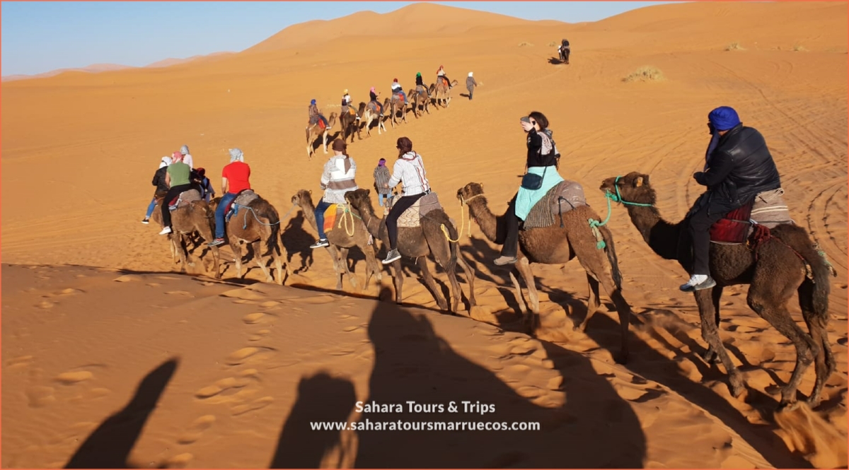 Desert Tour departure Casablanca