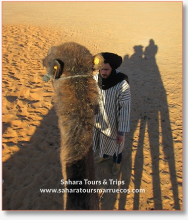 Desert Tour departure Casablanca
