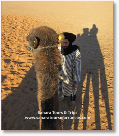 Desert Tour departure Casablanca