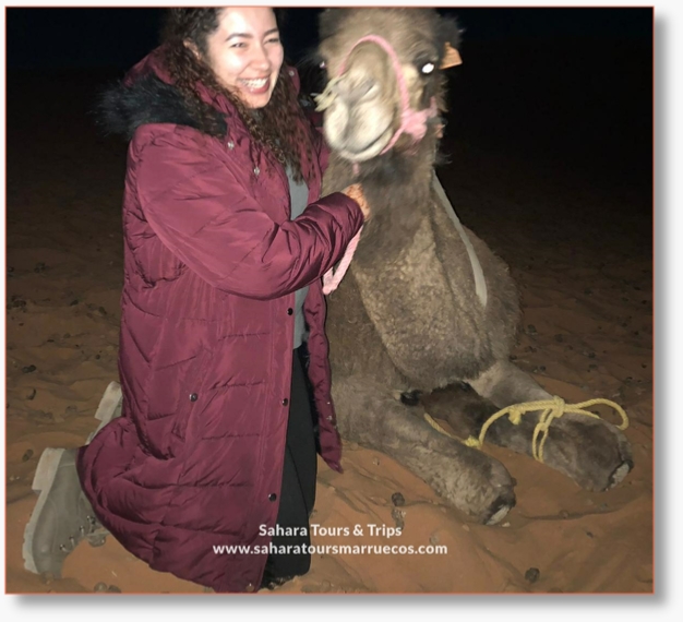 Desert Tour departure Casablanca