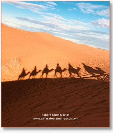 Tour from Fes to Sahara Desert