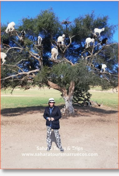 Day trip from Marrakech