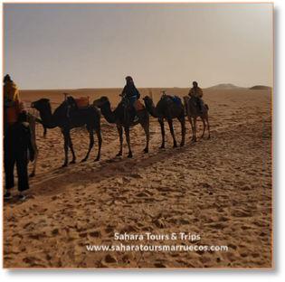 Merzouga overnight camel trek