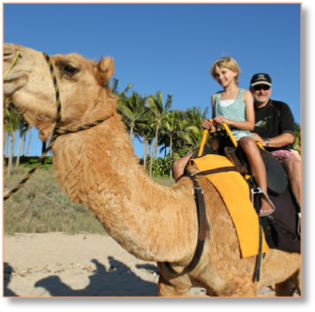 Camel Ride in Palmeries of Marrakech